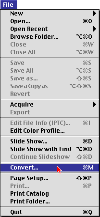 Convert... from File menu